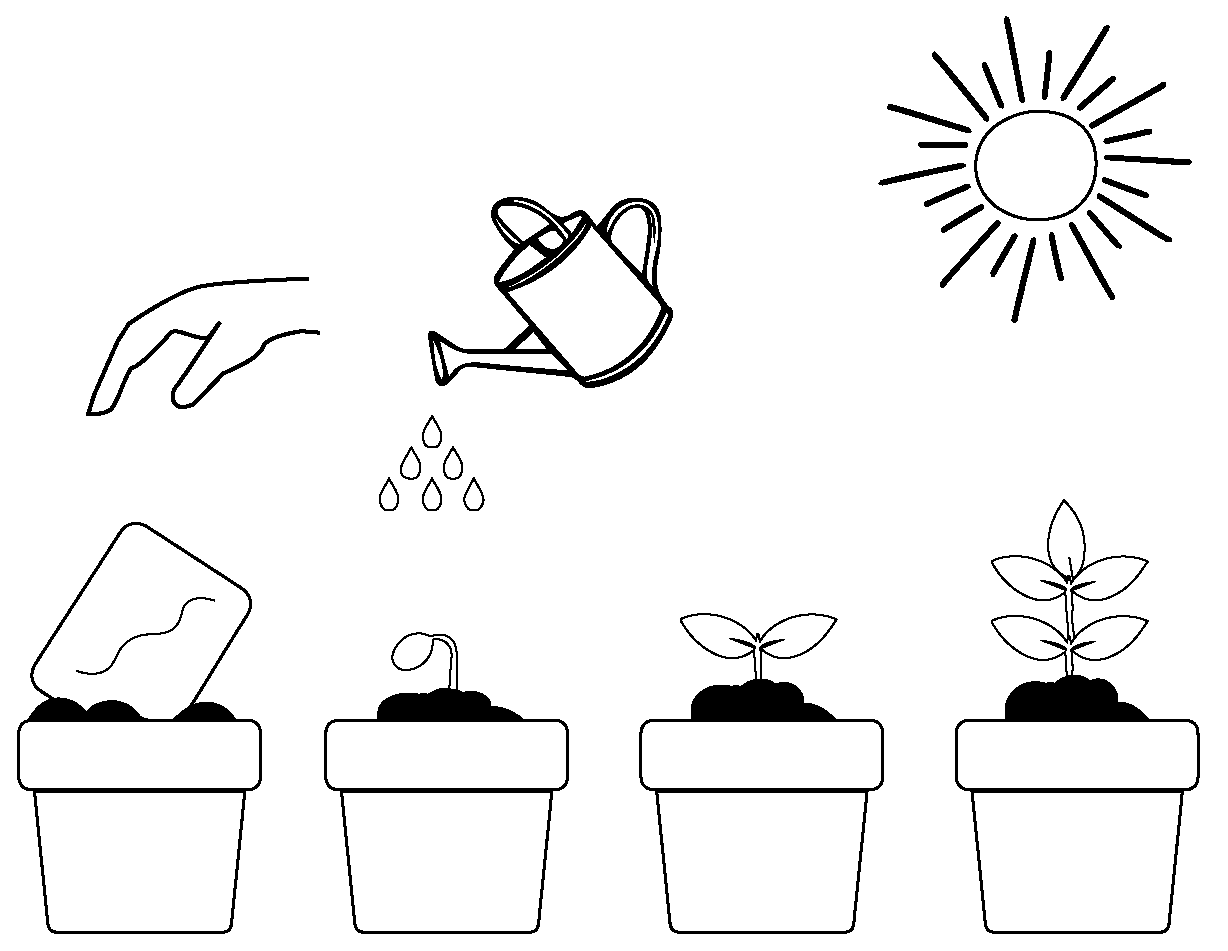 STANP-V3